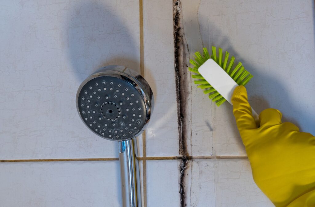 bathroom mold