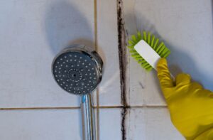 bathroom mold