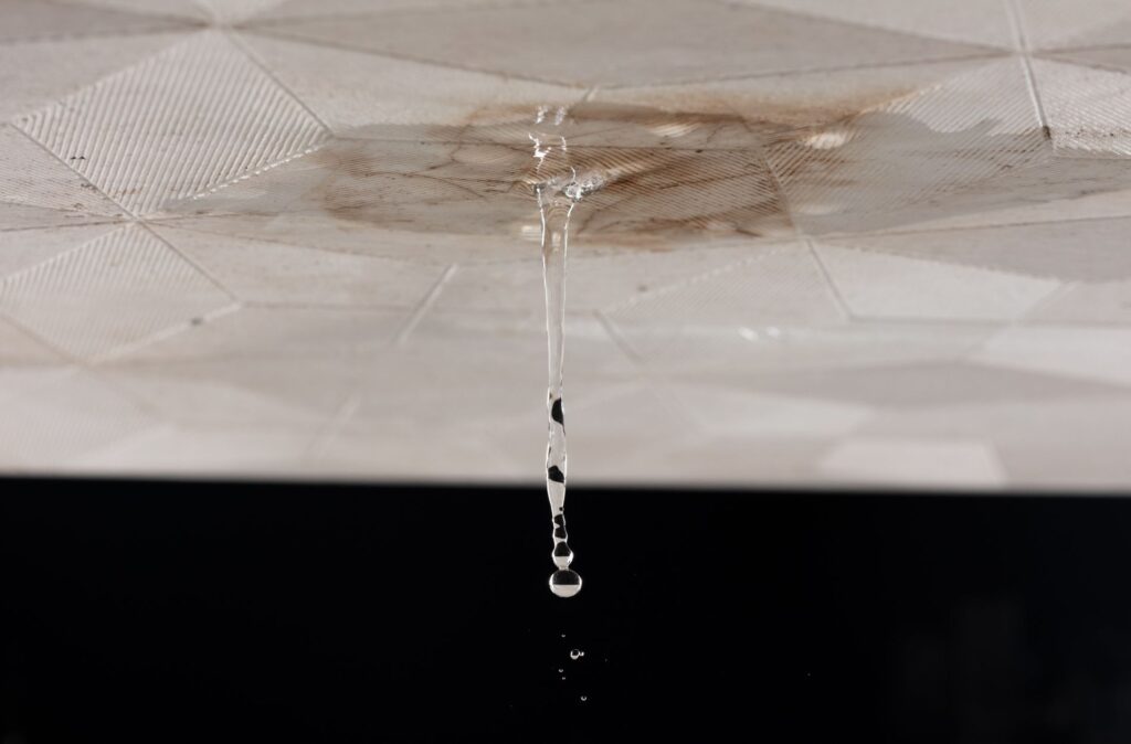 leaking roof