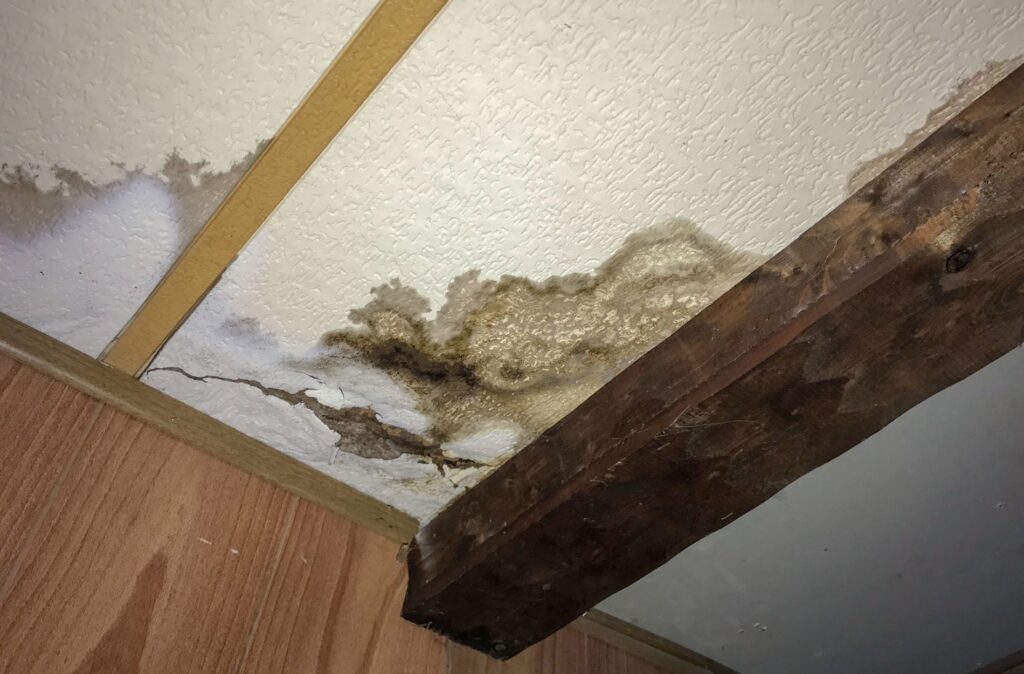 water damage repair