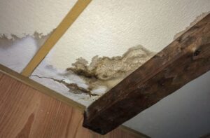 water damage repair